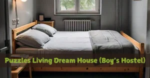 Puzzles-Living-Dream-House-boys
